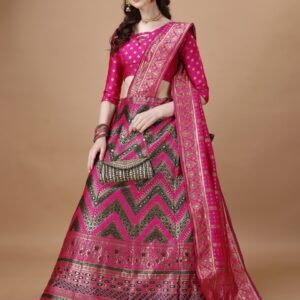 Lehenga Allure Classic Charm