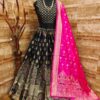 Lehenga Allure Classic Charm