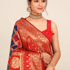 Opulence Banarasi Saree