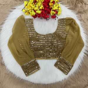 Party Wear Mirror Blouse